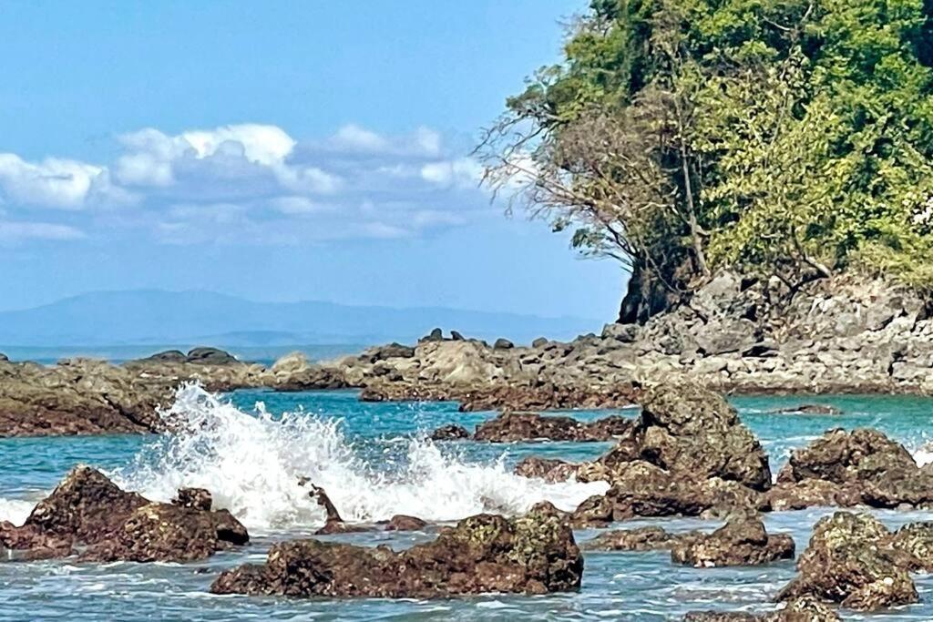 An Abundance Of Wildlife At Jungle Glory Home Abajo Manuel Antonio Eksteriør bilde