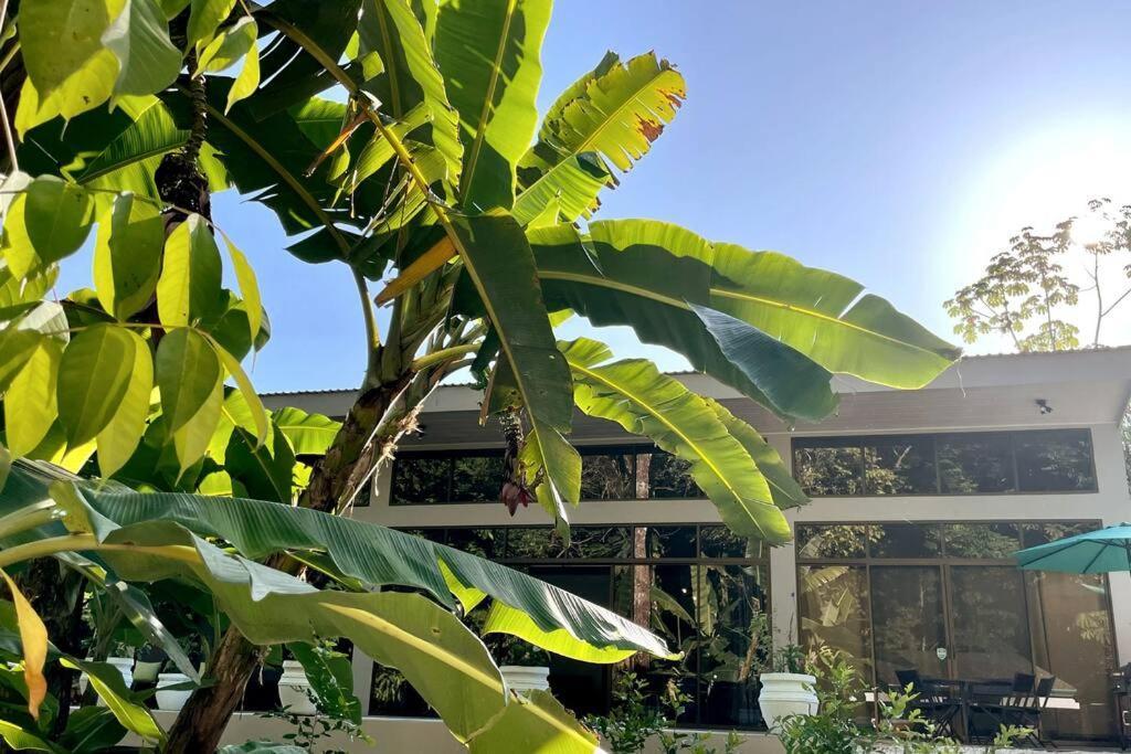 An Abundance Of Wildlife At Jungle Glory Home Abajo Manuel Antonio Eksteriør bilde