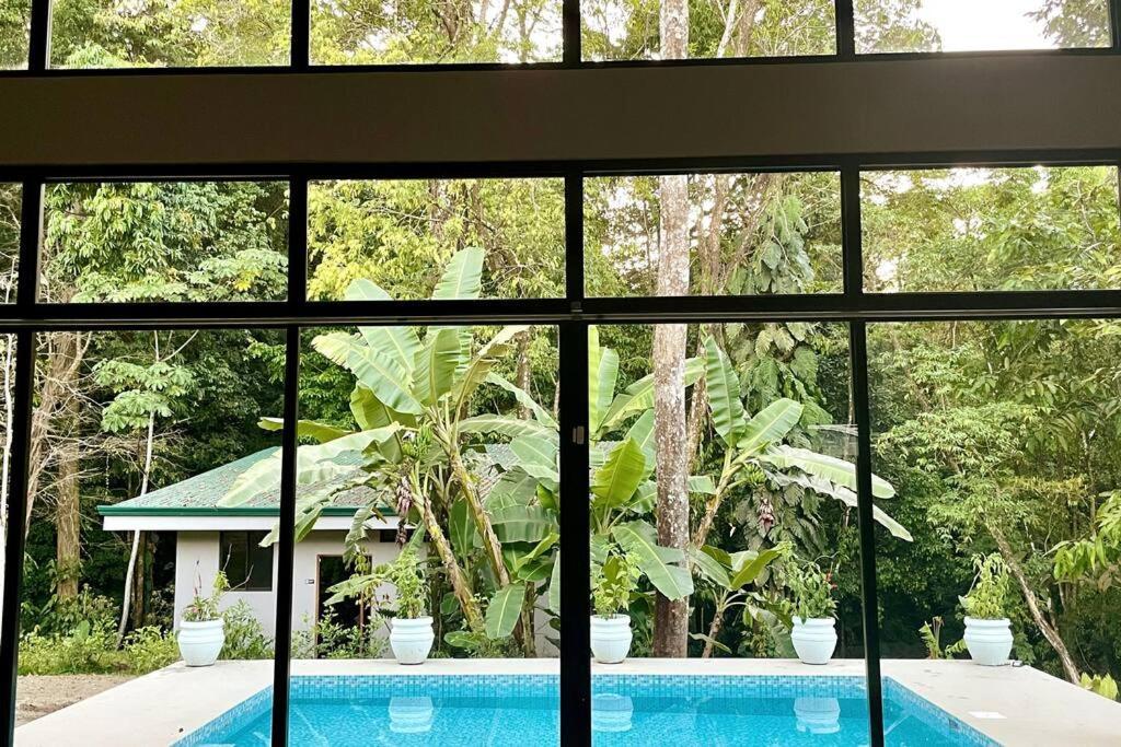 An Abundance Of Wildlife At Jungle Glory Home Abajo Manuel Antonio Eksteriør bilde