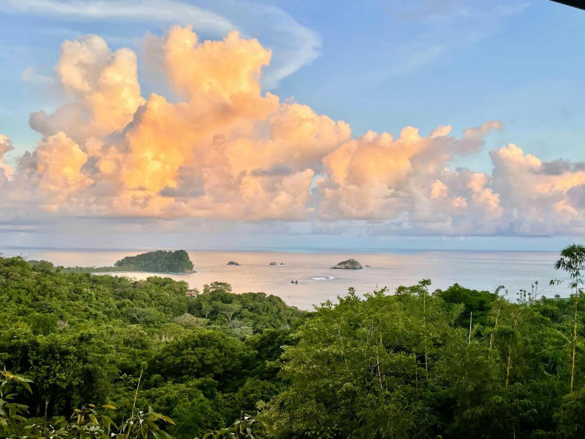 An Abundance Of Wildlife At Jungle Glory Home Abajo Manuel Antonio Eksteriør bilde