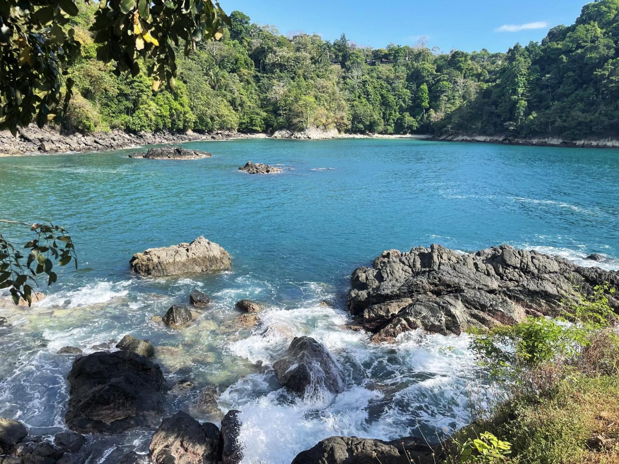 An Abundance Of Wildlife At Jungle Glory Home Abajo Manuel Antonio Eksteriør bilde
